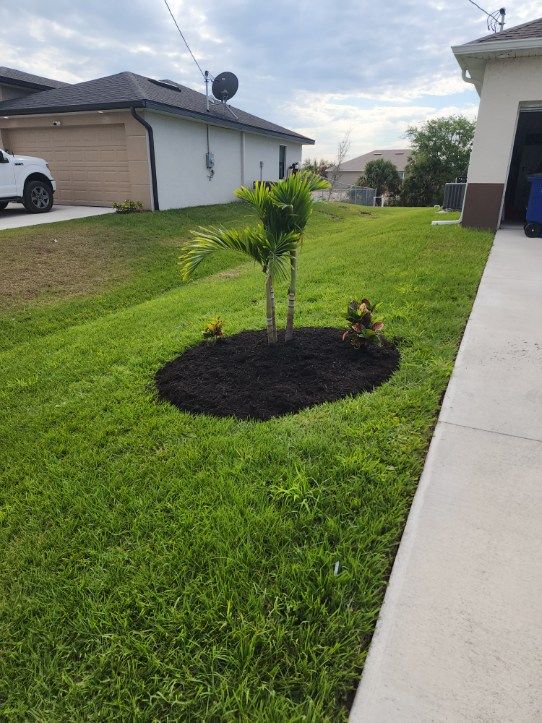 Mulch Installation for Southern Pride Turf Scapes in Lehigh Acres, FL