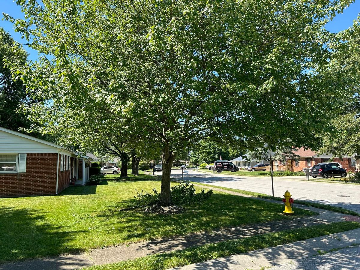 Shrub Trimming for Bearforce Lawn Care LLC in Greenfield, IN