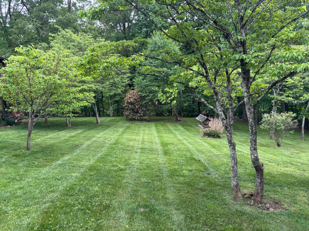 Lawn Maintenance for Pisgah Property Services LLC in Asheville, NC
