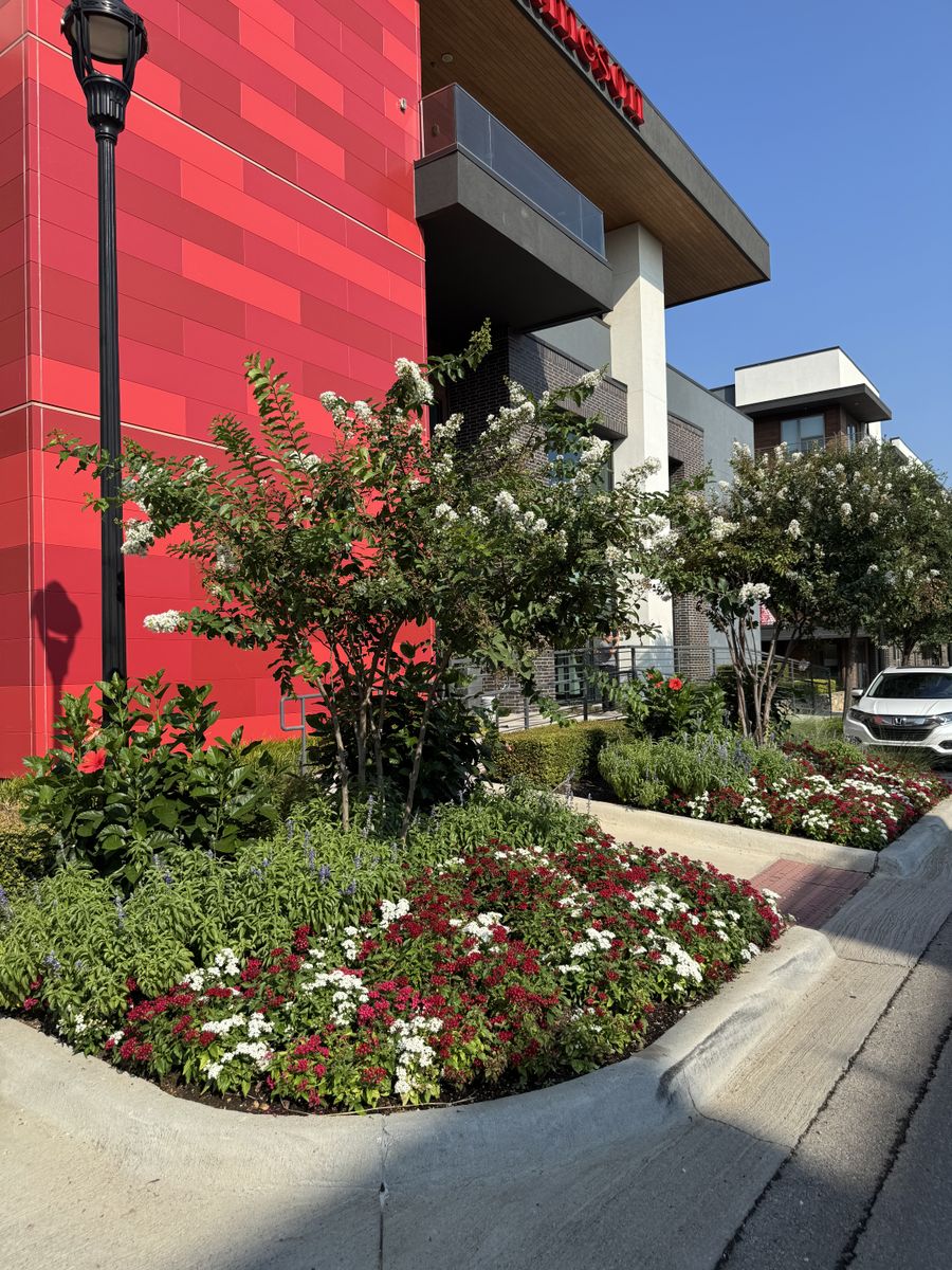 Landscape Install for Guerrero's Landscape in Fort Worth,  TX