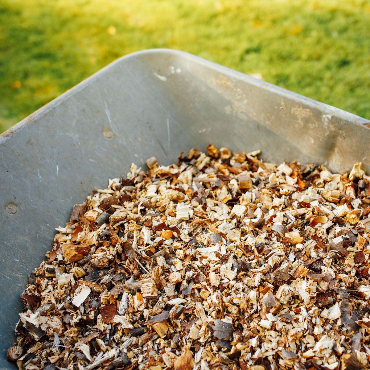 Tree Removal for Terra Heights Tree Experts & Landscaping  in Grass Valley,  CA