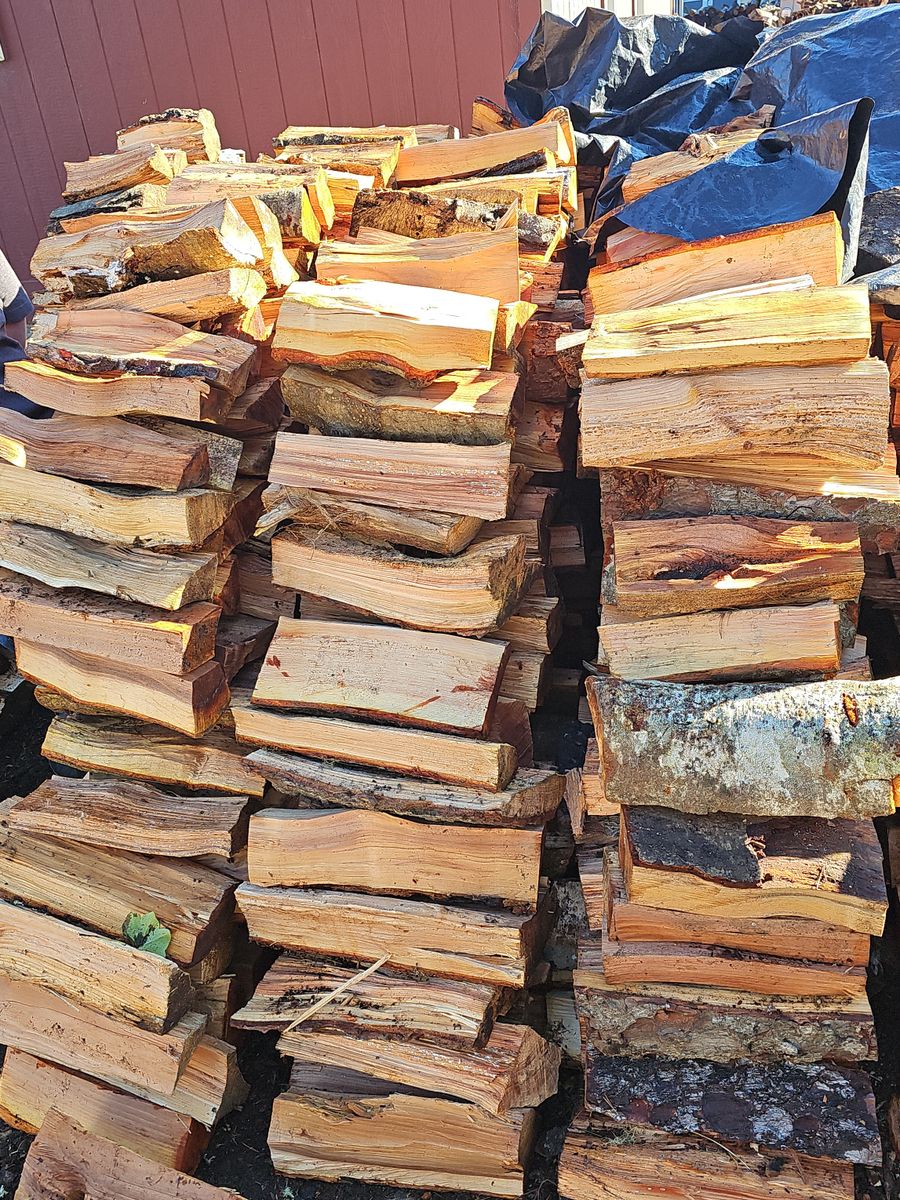 Tree Trimming for Trio Tree Services in Ocean Park, WA
