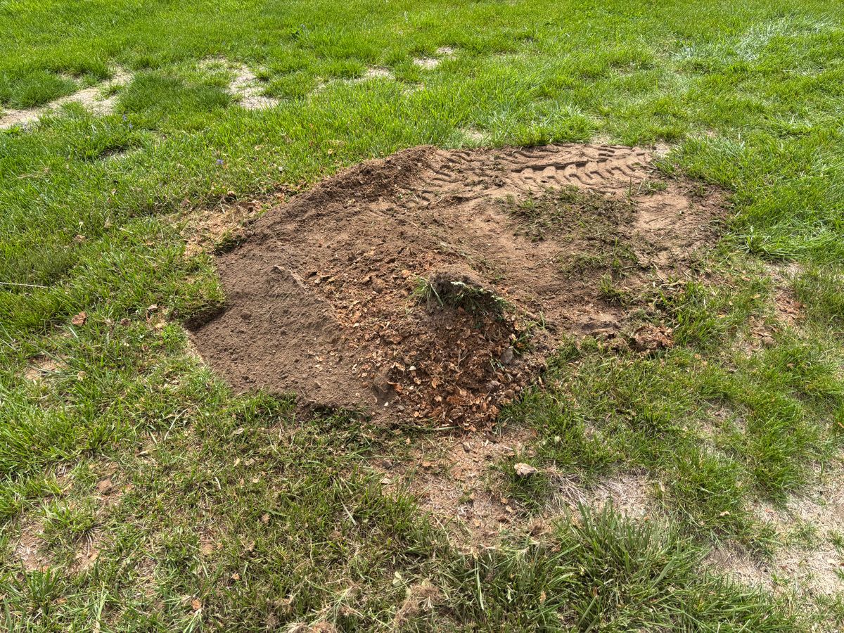 Stump Removal for Conrad's Stump Removal in Columbus, IN