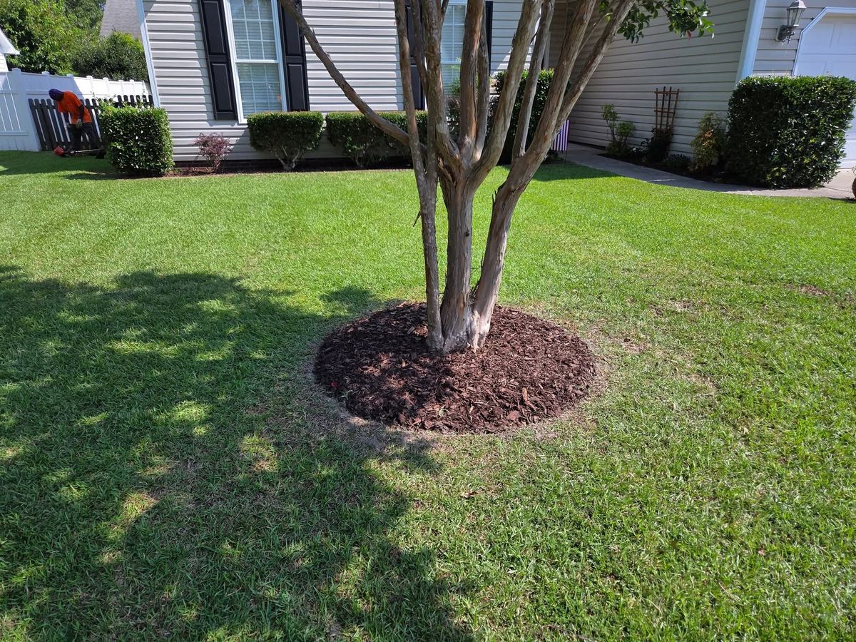 Mulch Flower Bed Maintenance for Just Mow and Go Lawn Service, LLC in New Bern, NC