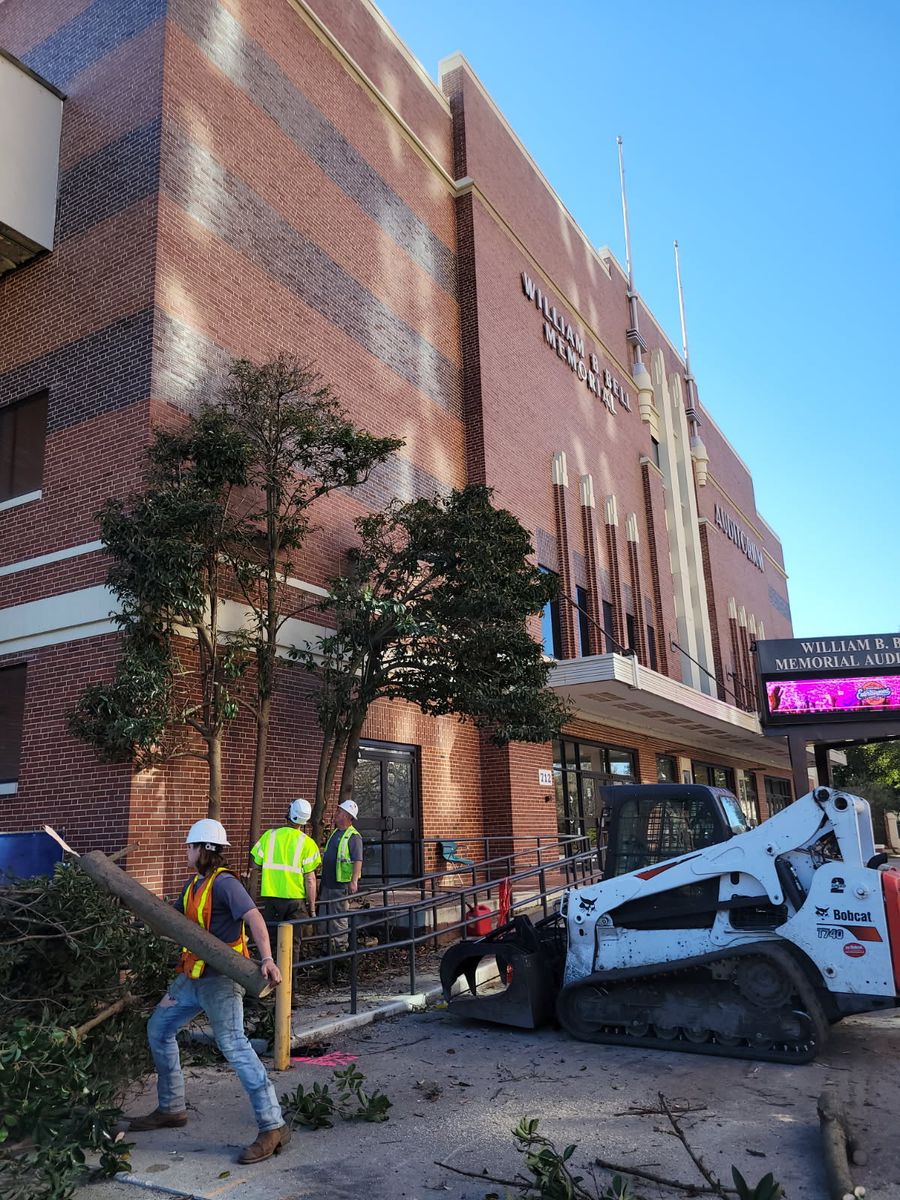 Tree Removal for Trees Unlimited of the CSRA in Augusta, GA