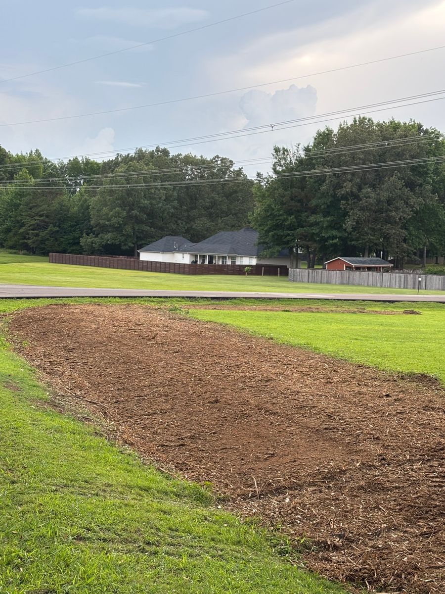 Forestry Mulching for Simmons land works in Sardis,, TN