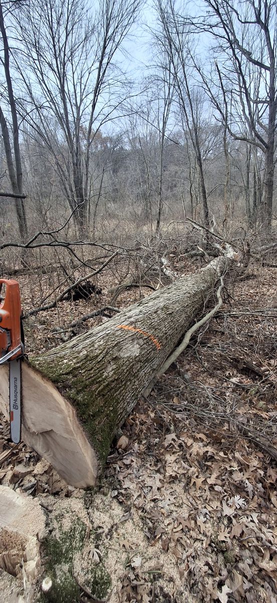 Timber Management for God's Country Timber Management in Hillsdale, MI