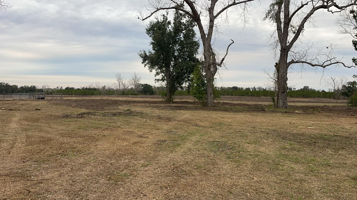 Forestry Mulching for C&C Excavating in Live Oak, FL