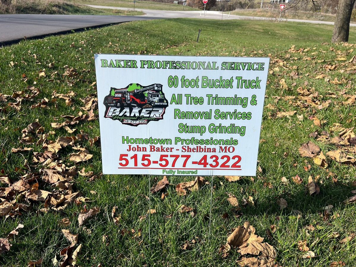 Stump Grinding for Baker Professional Services LLC in Shelbina, MO