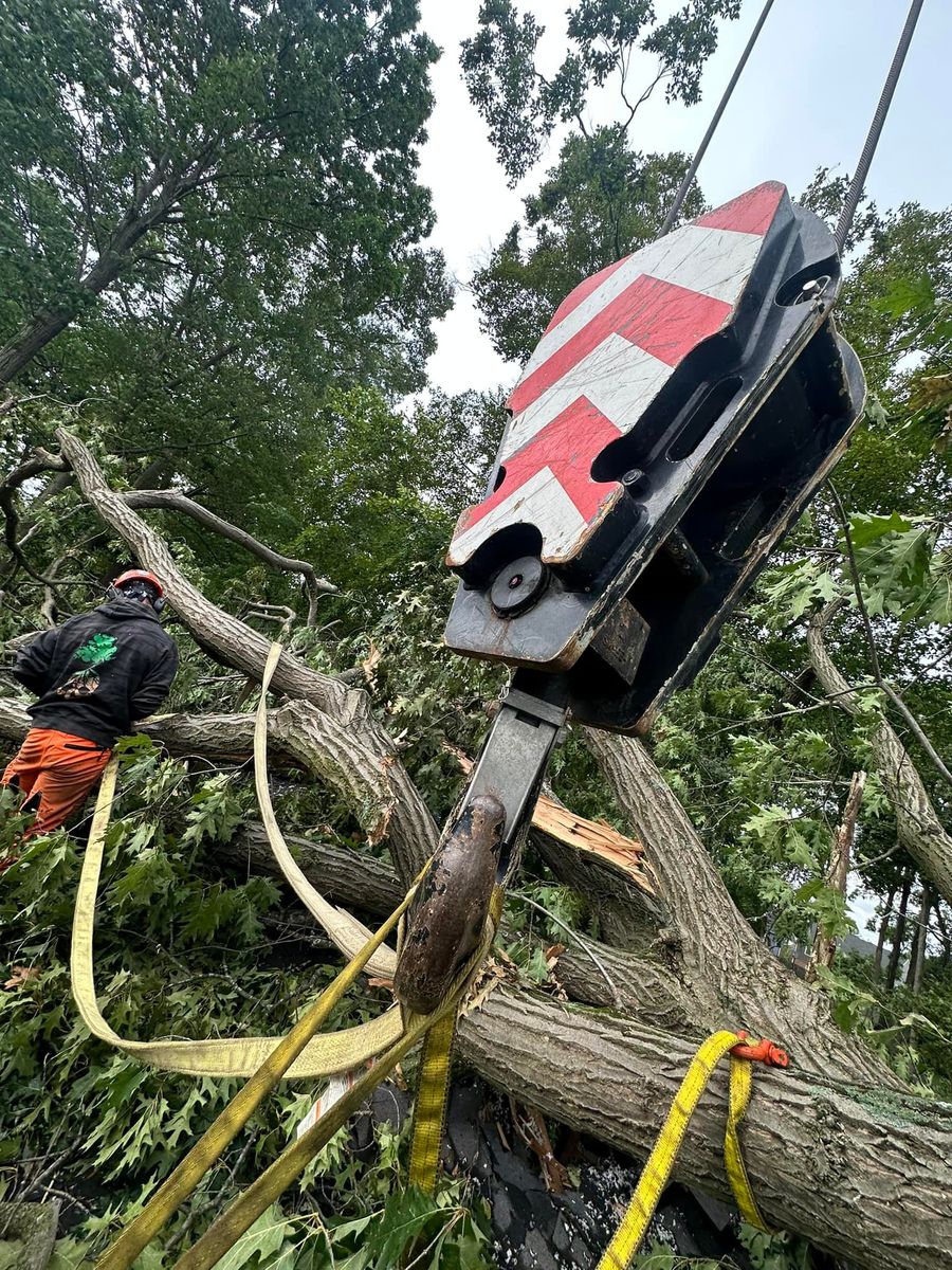 Tree Removal for DGD Outdoor Services LLC in Howell, MI