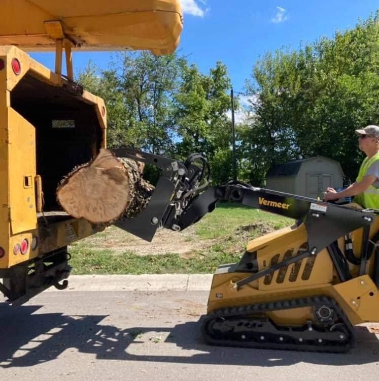 Tree Removal for Village Tree Service in Whitestown, IN