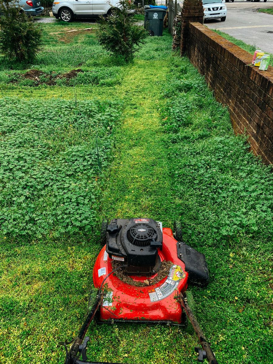 Landscaping for Anywhere Fencing Plus in Fresno, CA