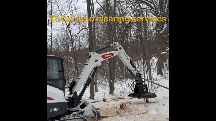 Forestry Mulching & Tree Removal for Palmer Property Services in Middleville, MI
