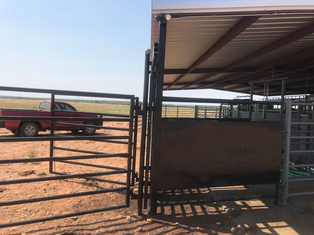 Cattle Pens for 5-7 Fencing & Construction in Madisonville, TX