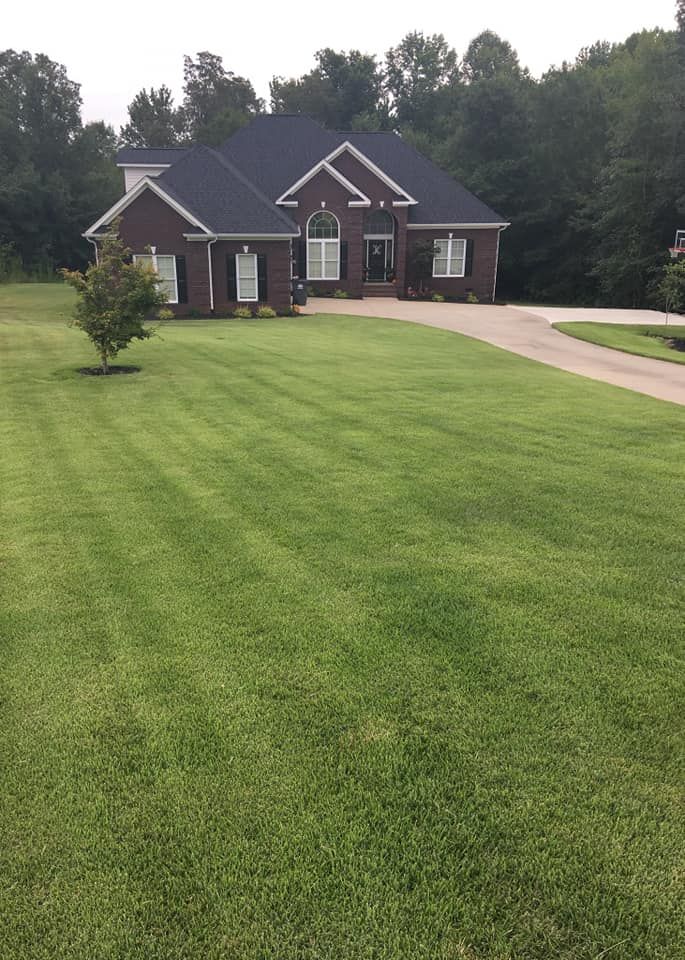 Sod Installation for Paradise Landscaping and Tree Service in Greenville, SC