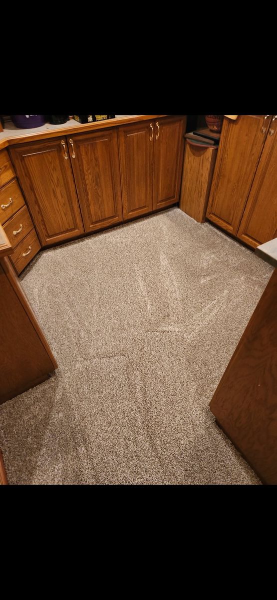 Carpet Installation and Replacement for TH Flooring in St. Cloud, MN