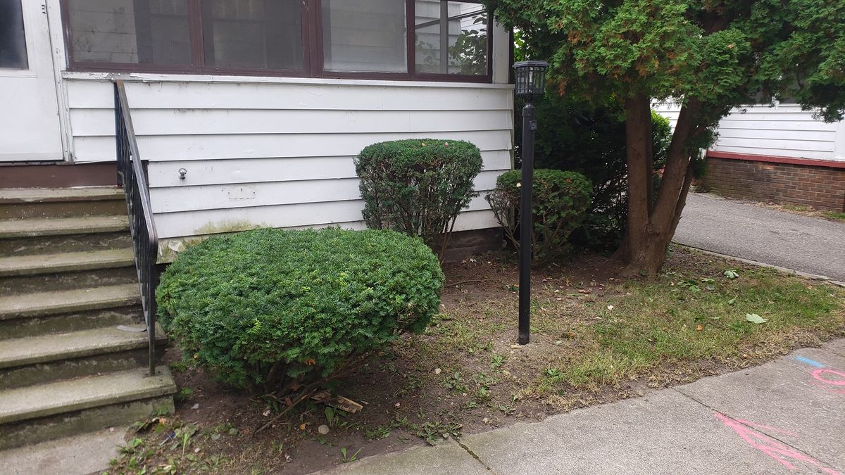 Shrub Trimming for Land Movers in Kalamazoo County, MI