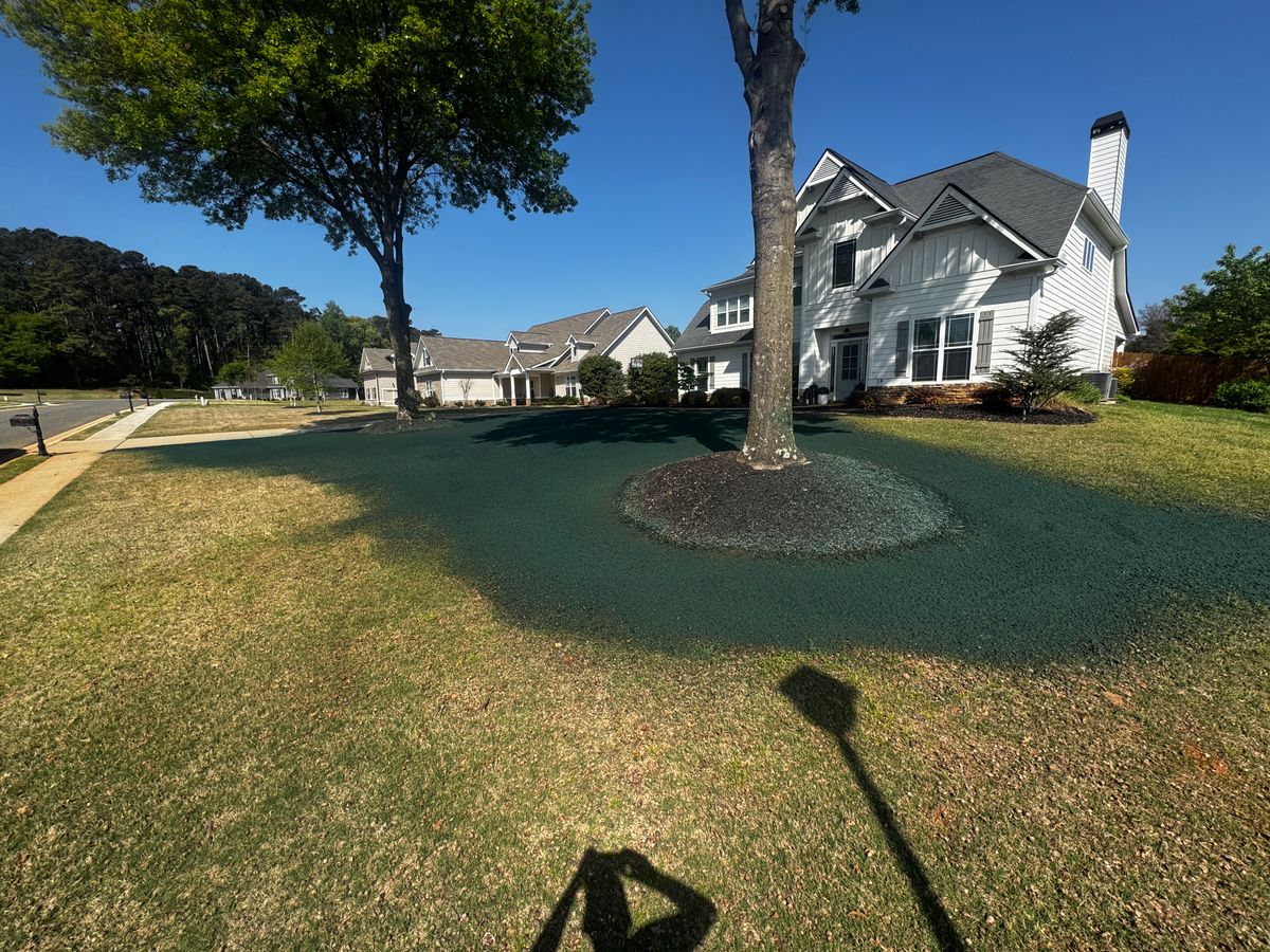 Hydroseeding for Deeply Rooted Lawns – Hydroseeding & Sod Installation Services in Winder, GA