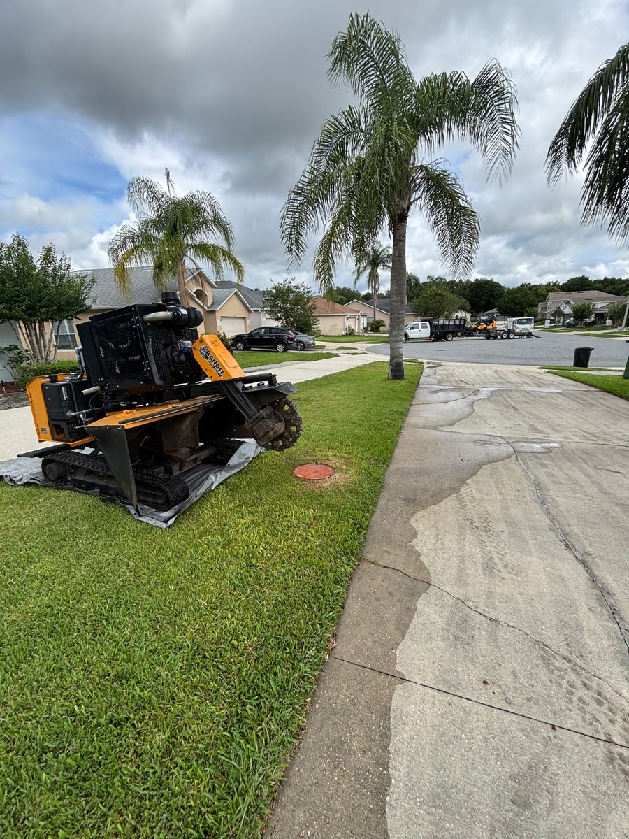 Tree Removal for Amerigrown Tree And Lawn in Apopka, FL