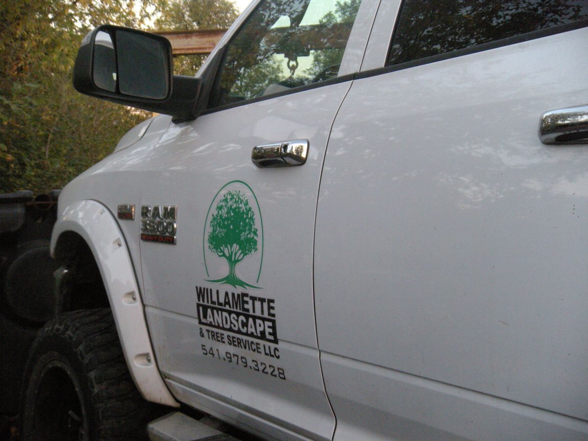 Tree Removals for Willamette Landscaping and Tree Services in Albany, OR