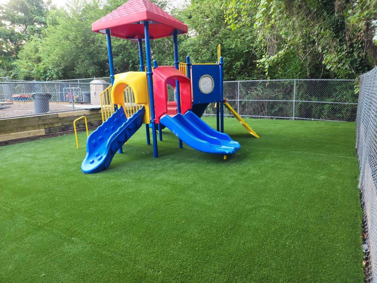 Artificial Turf For Pets for Elite Turfs in Concord, NC