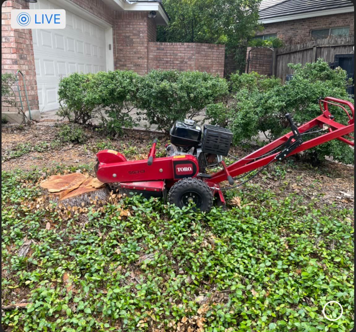 Stump Grinding for Neighborhood Lawn Care and Tree Service  in San Antonio, TX