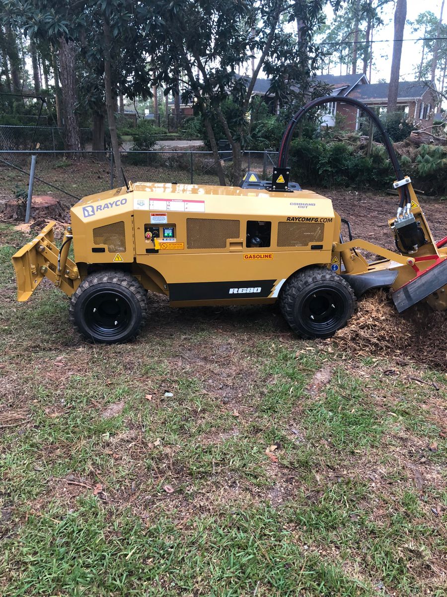 Tree Removal for M & J Tree Service & Stump Grinding in Auburn, GA