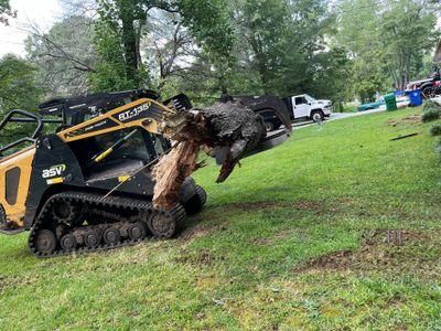 Emergency Tree Service for Bulldawg Disaster Response in Atlanta, GA
