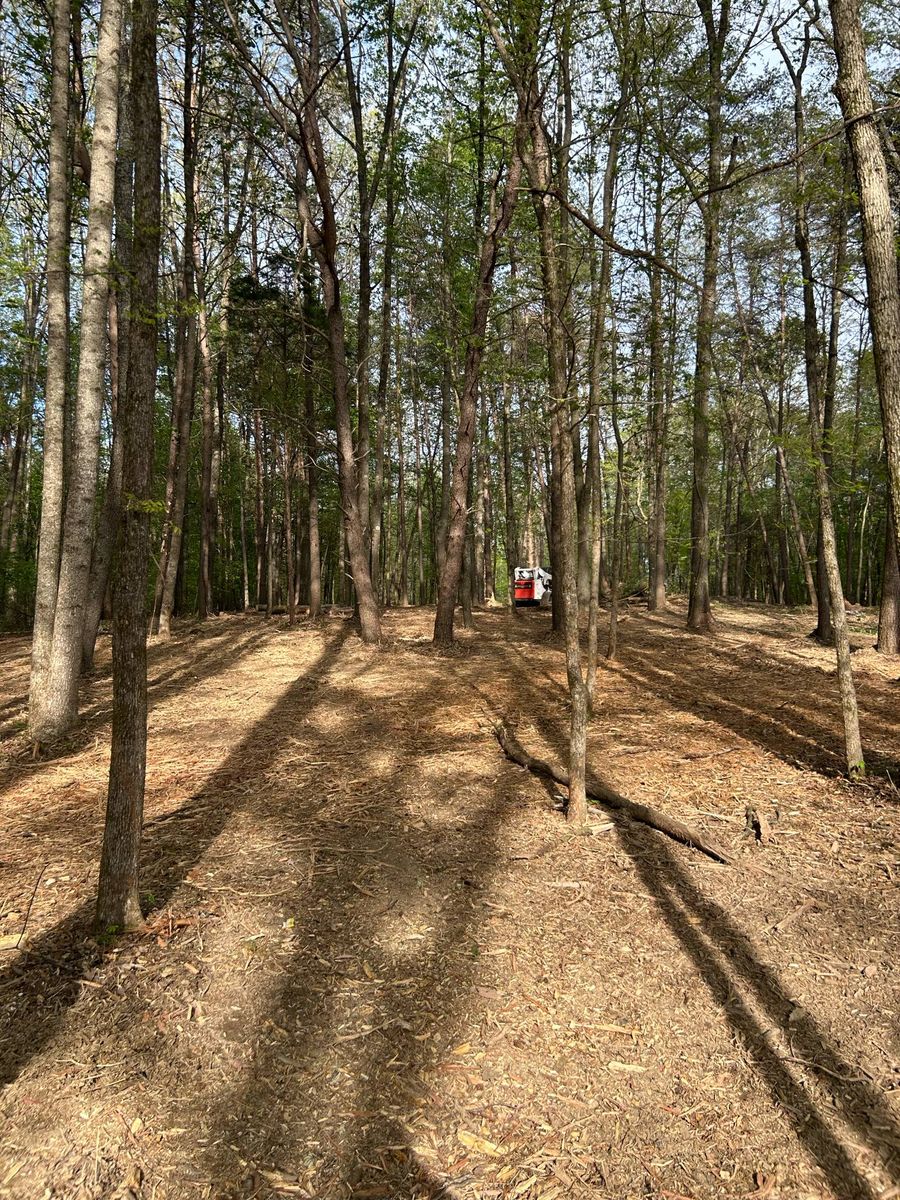 Mulching for Z's Land Management & Forestry Mulching in Smithville, TN