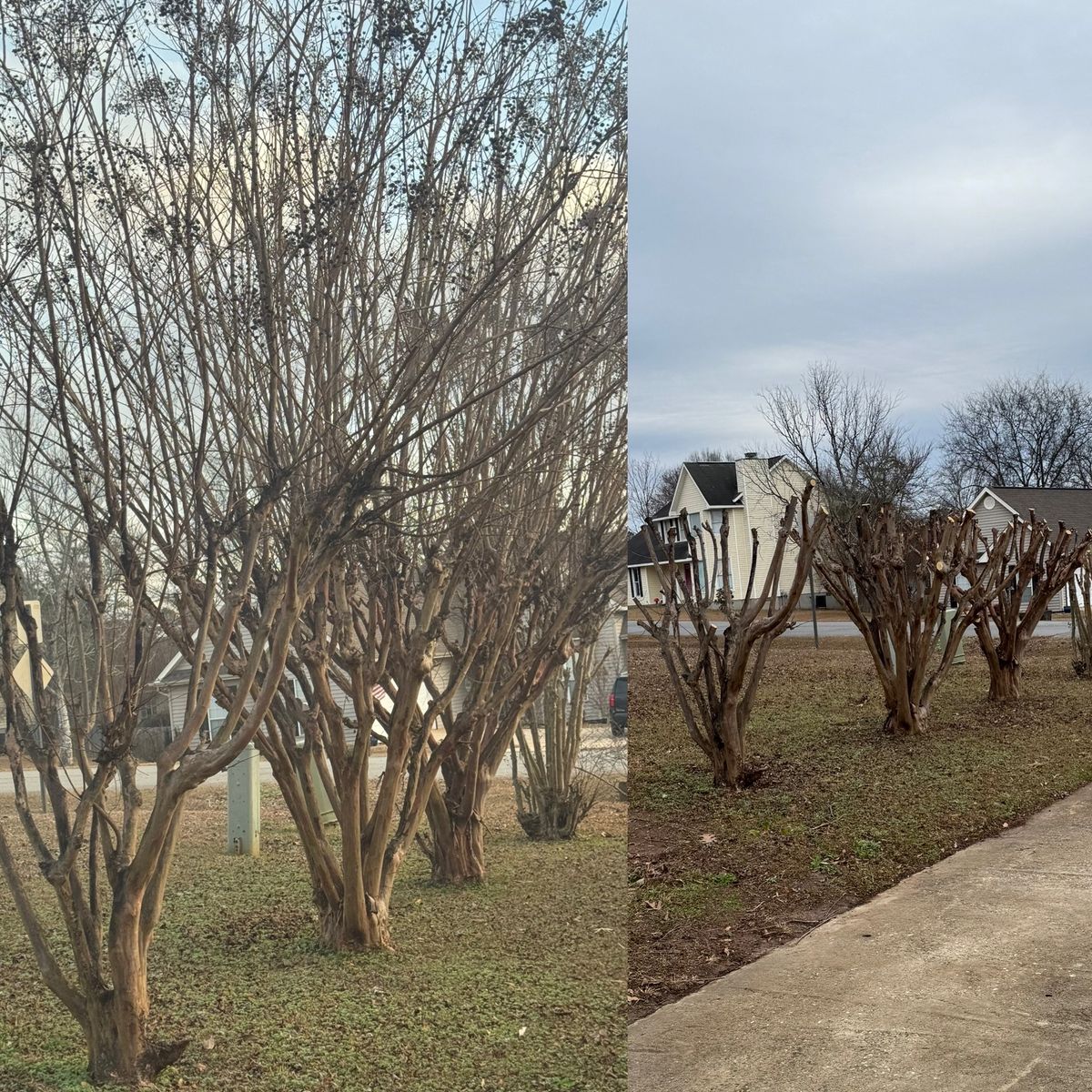 Turf, Ornamental, and Irrigation for Camalett Services in Perry, GA