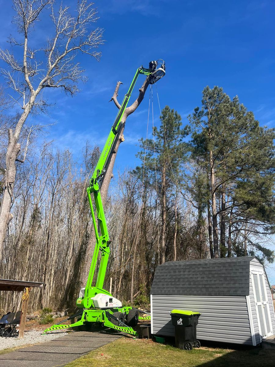 Tree Removal for James River Tree Service in Suffolk, VA