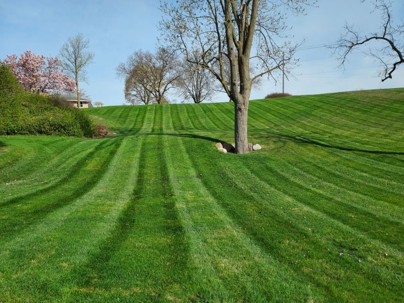 Lawn Mowing for ER Lawn Service in Manchester, MI