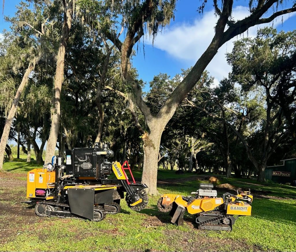 Stump Removal for Greene Acres Stump Grinding in Plant City, FL