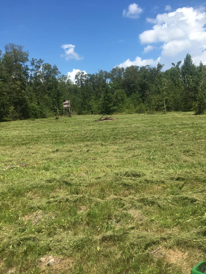  Edging and Pruning for Great American Landworks  in Morrison, TN