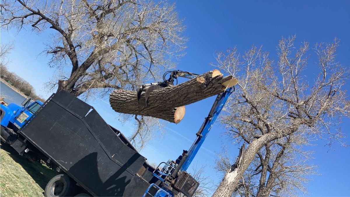Tree Removal for SMH Tree Service in Atwood, KS