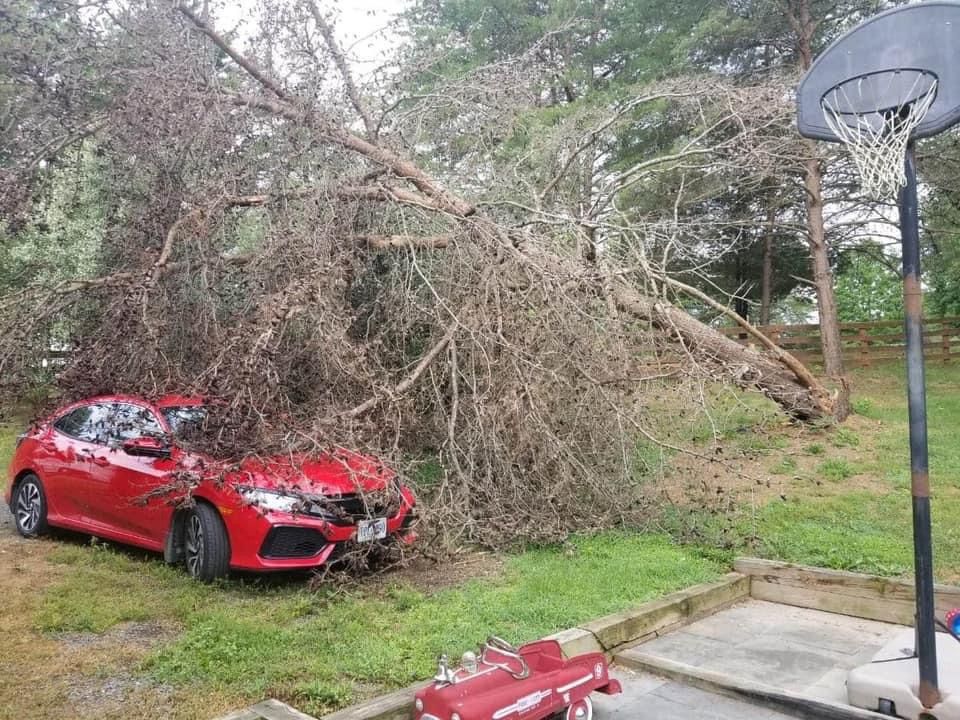 24 Storm damage for Branch Out Tree Care LLC in Fredericksburg, VA