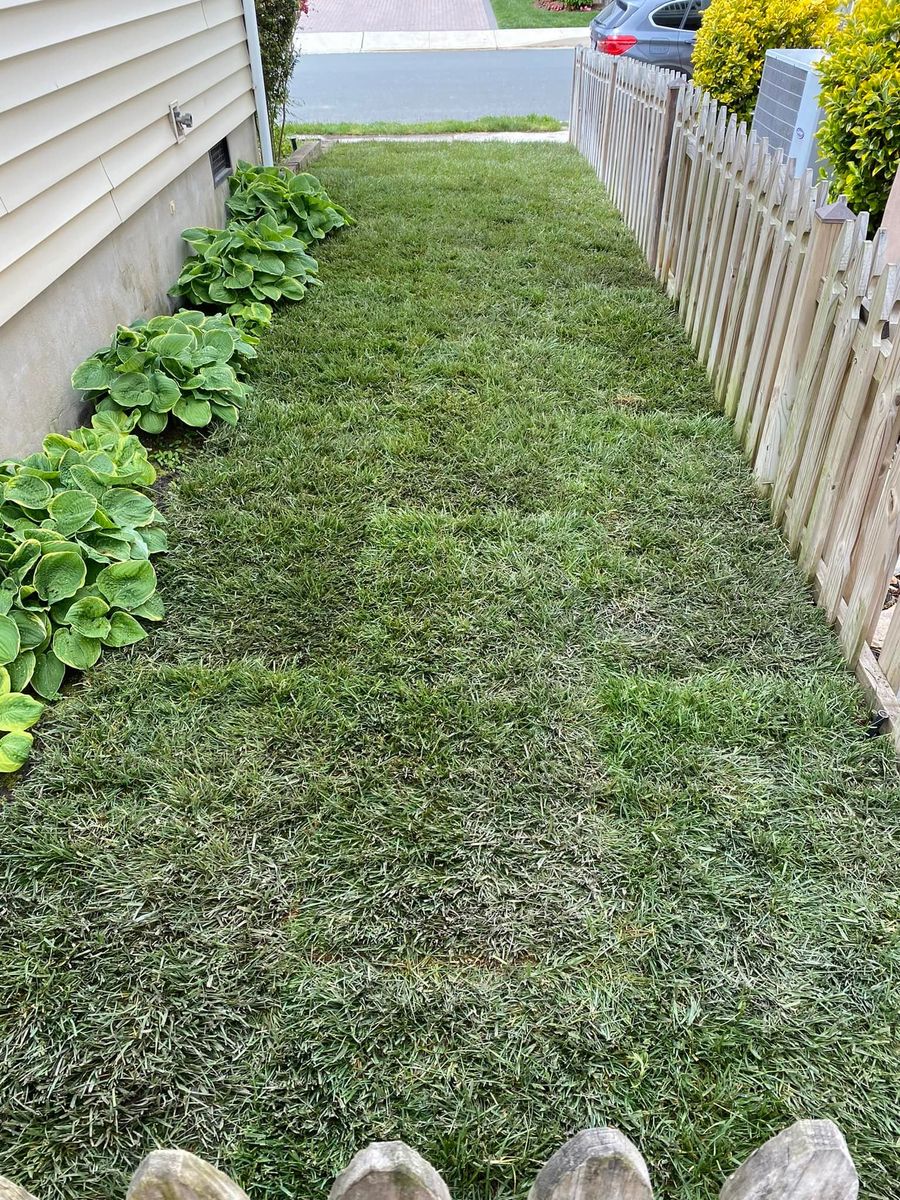 Mowing for Indian River Lawns and Landscapes in Frankford, DE