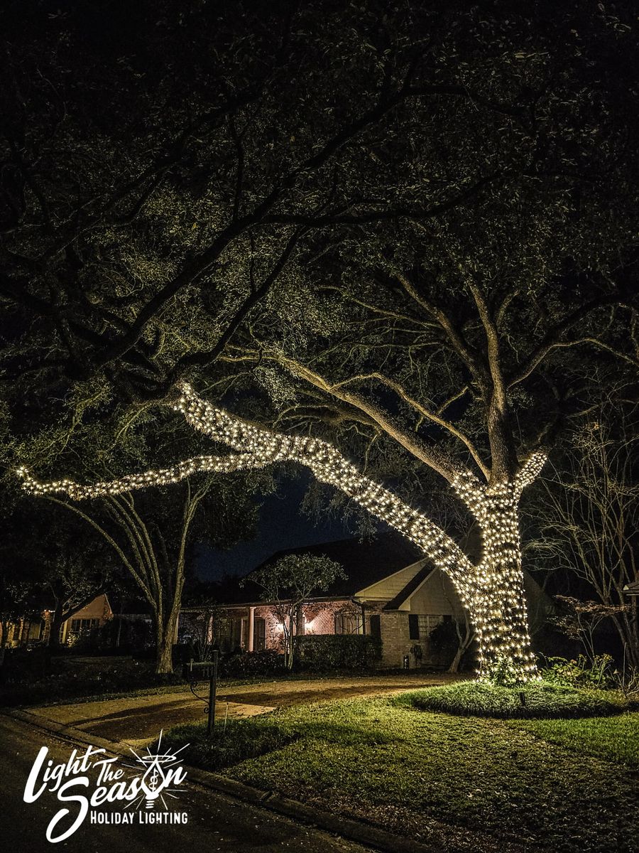 Fascia and Rooflines for Light the Season in Lafayette Parish,  LA