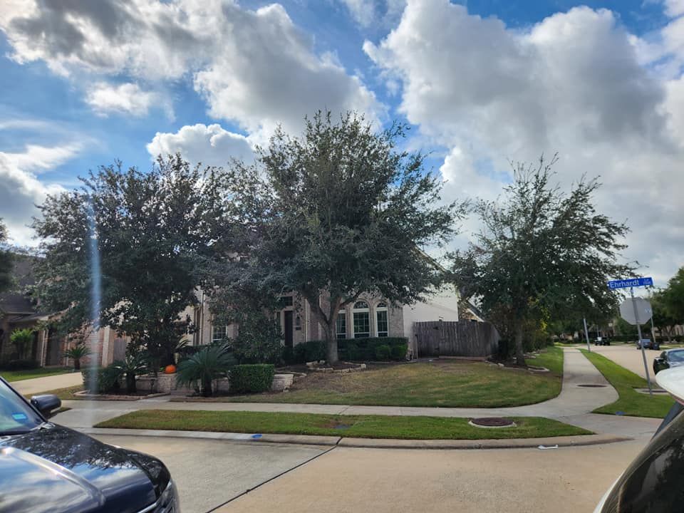 Shrub Trimming for Right Choice Landscaping LLC in Houston, TX