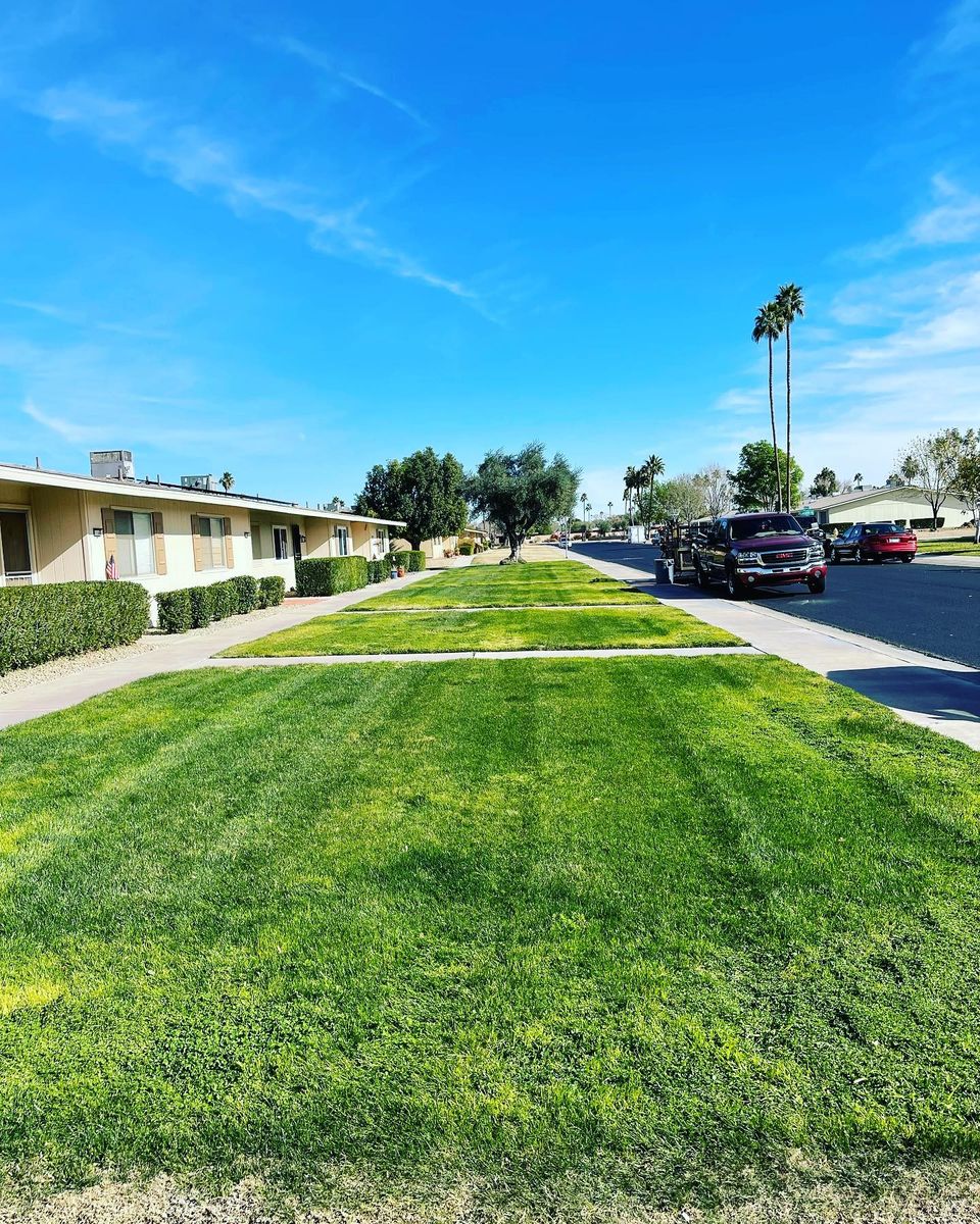 Fall Clean Up for American Dream Landscape Company in Surprise, AZ