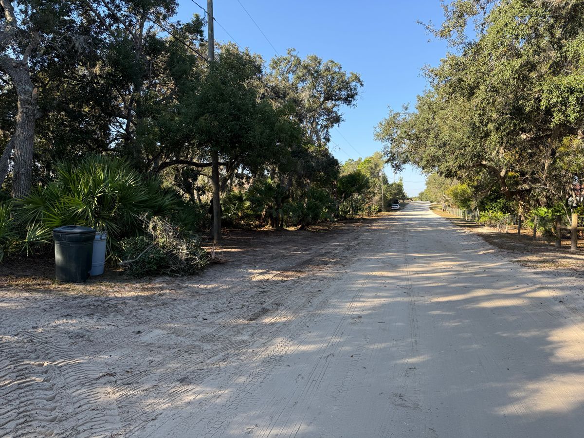 Fall Clean Up for Amerigrown Tree And Lawn in Apopka, FL