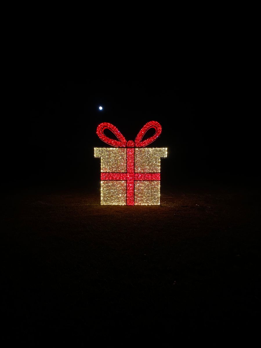 Holiday Lighting for Elite Lighting Solution in Midlothian, VA