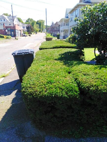 Landscape Installation for Landscape Innovations LLC in Torrington, CT