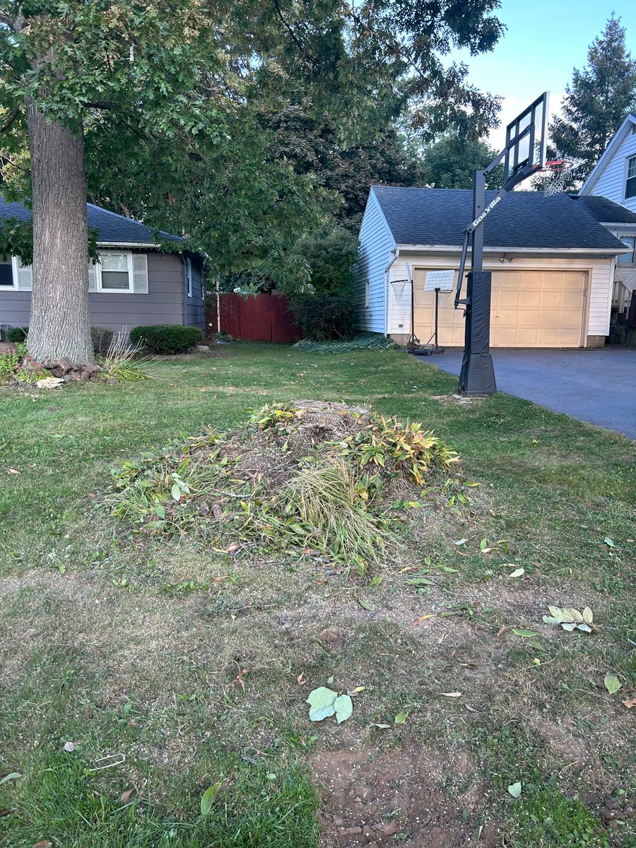 Stump Removal for S.H. Tree Service LLC in Hilton, NY