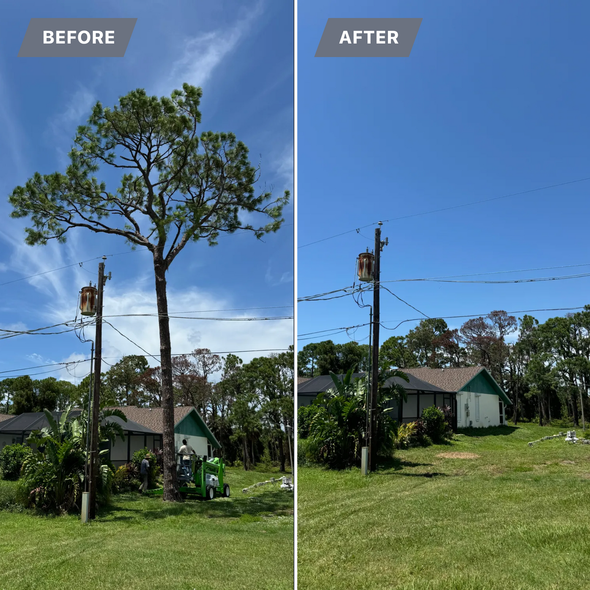 Tree Removal for Lemon Bay Tree Service  in Englewood, FL