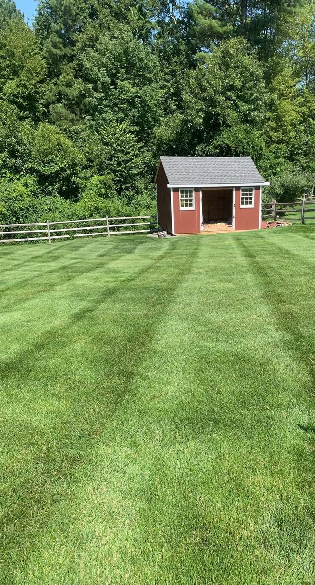 Fall Clean Up for B&L Management LLC in East Windsor, CT