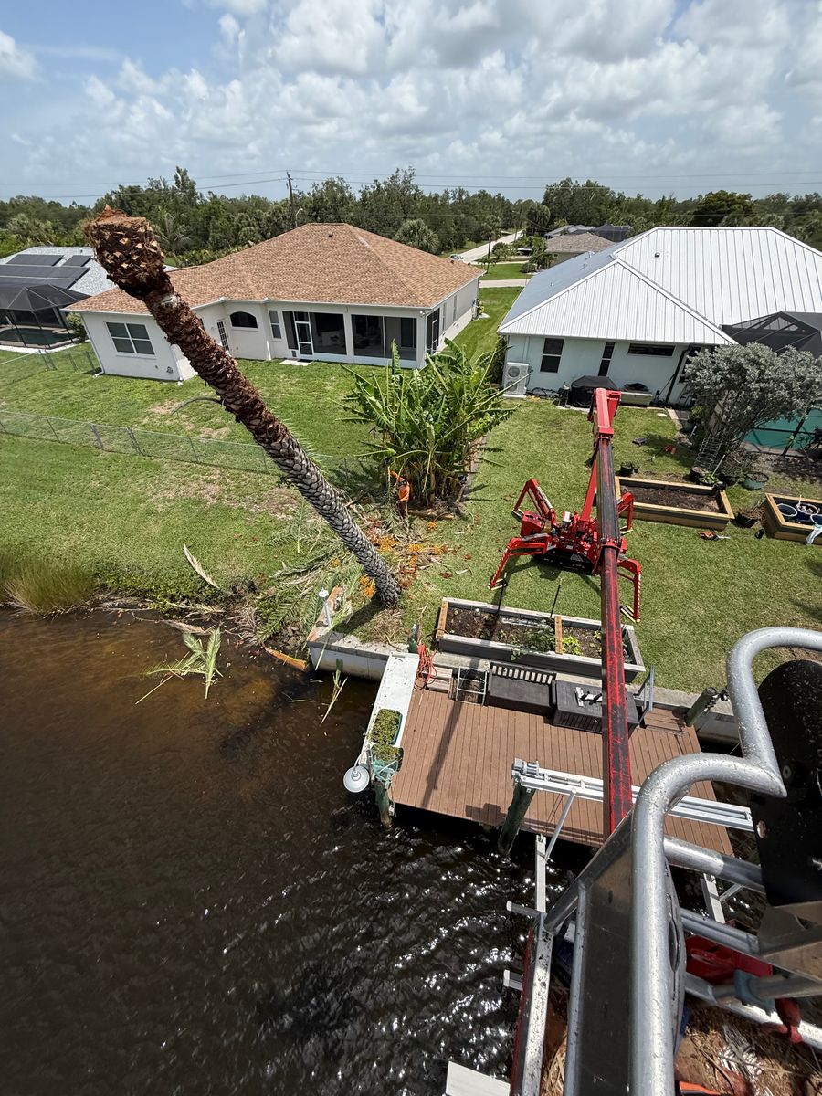 Tree Removal for MX Trees LLC in Englewood, FL