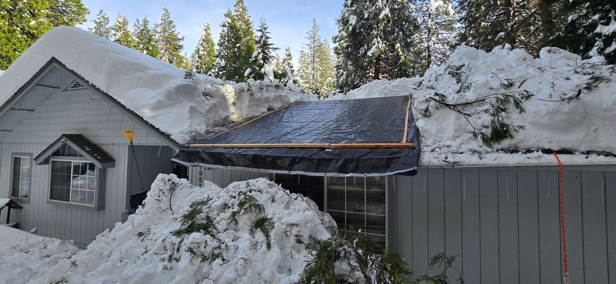 Storm Damage for George Staddan's Professional Tree Care in Placerville, CA