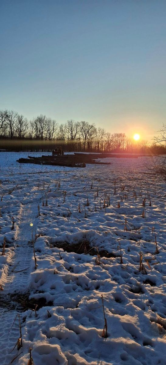 Timber Management for God's Country Timber Management in Hillsdale, MI