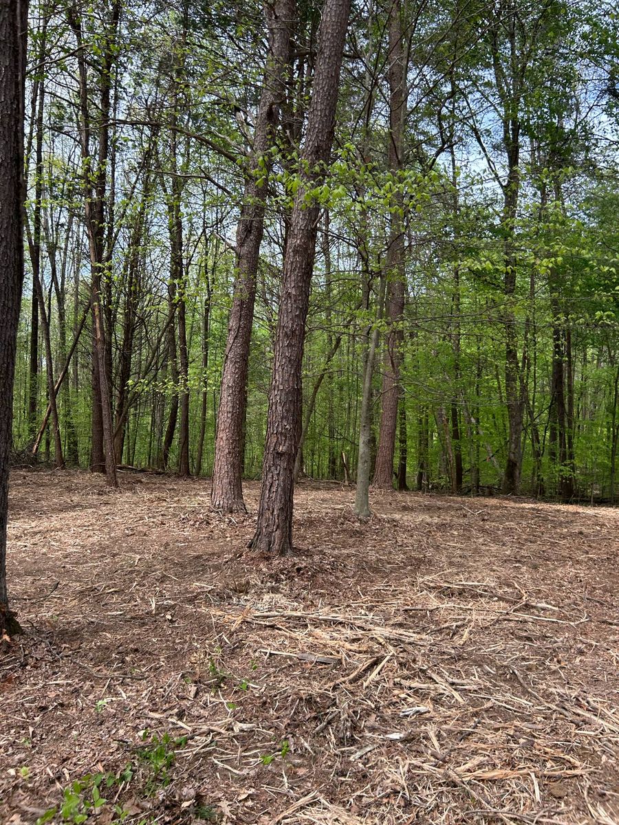 Land Clearing for Z's Land Management & Forestry Mulching in Smithville, TN